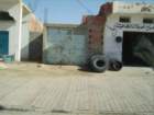 tunisia0231_small.jpg