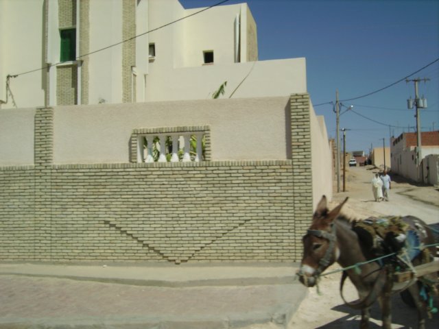 tunisia0233.jpg
