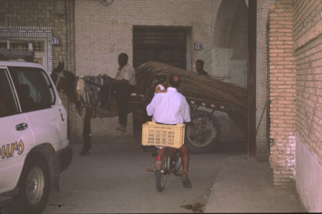tunisia0248.jpg