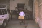 tunisia0248_small.jpg
