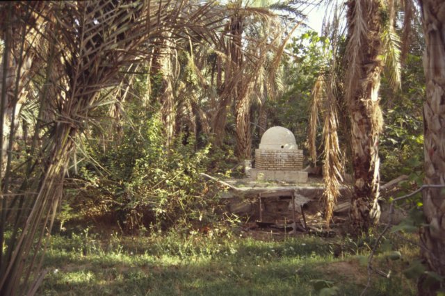 tunisia0253.jpg