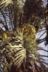 tunisia0255_small.jpg