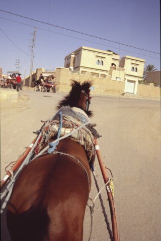tunisia0261.jpg