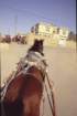 tunisia0261_small.jpg