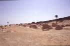 tunisia0262_small.jpg