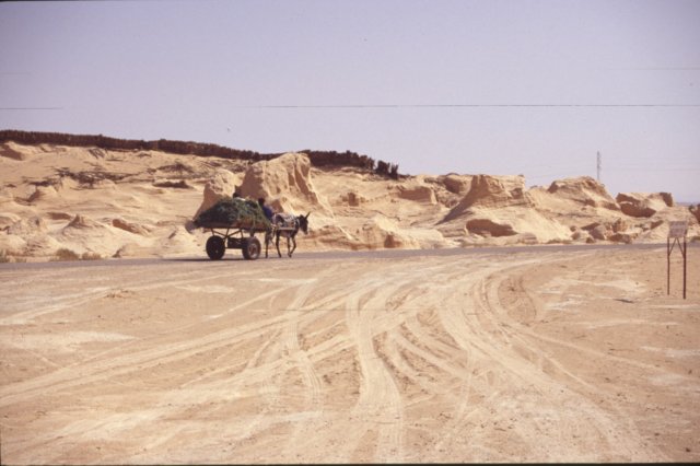 tunisia0263.jpg