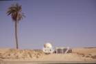 tunisia0264_small.jpg