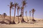 tunisia0265_small.jpg
