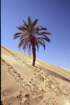 tunisia0267_small.jpg