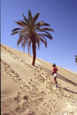 tunisia0268.jpg