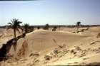 tunisia0269_small.jpg