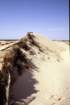 tunisia0270_small.jpg