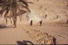 tunisia0272_small.jpg