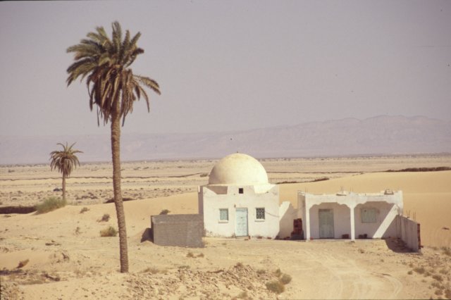 tunisia0275.jpg