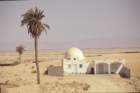 tunisia0275_small.jpg