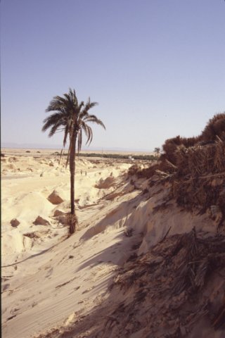 tunisia0278.jpg