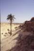 tunisia0278_small.jpg