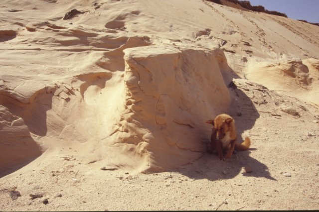 tunisia0281.jpg