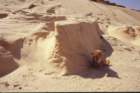 tunisia0281_small.jpg