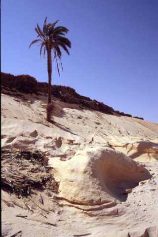 tunisia0283.jpg