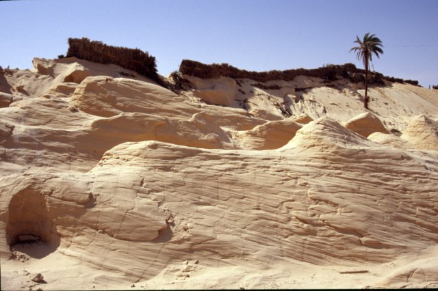 tunisia0284.jpg