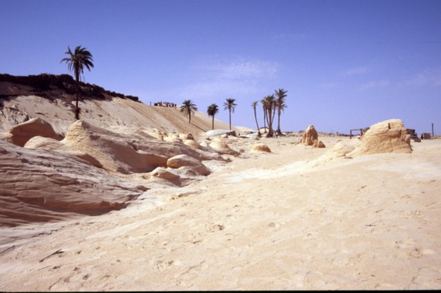 tunisia0285.jpg