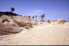 tunisia0285_small.jpg
