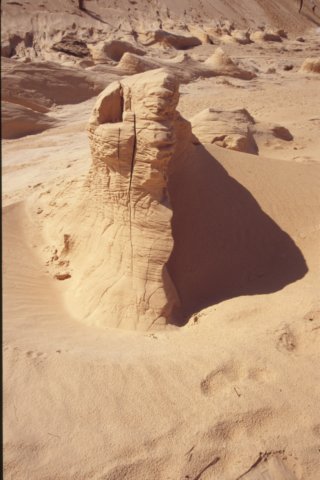 tunisia0286.jpg