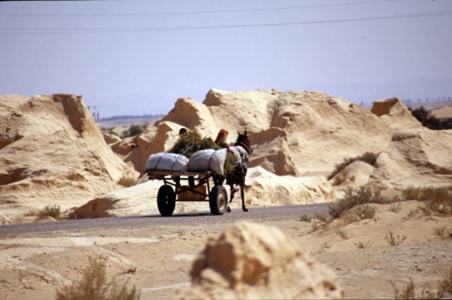 tunisia0287.jpg