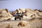 tunisia0287_small.jpg