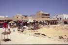 tunisia0291_small.jpg
