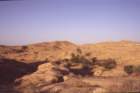 tunisia0293_small.jpg