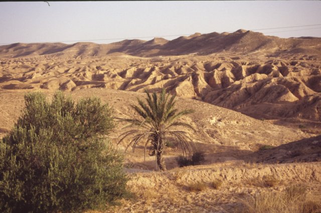 tunisia0294.jpg