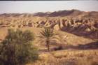 tunisia0294_small.jpg