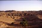 tunisia0295_small.jpg