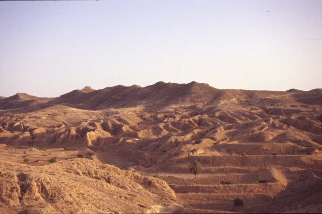 tunisia0297.jpg