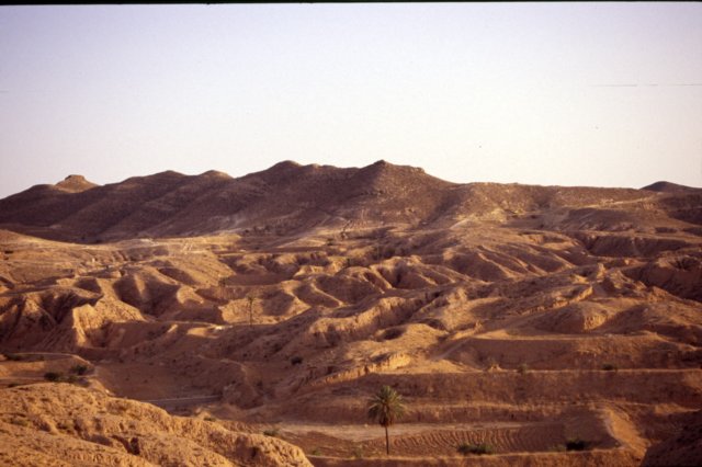 tunisia0298.jpg