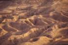 tunisia0299_small.jpg