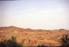 tunisia0318_small.jpg