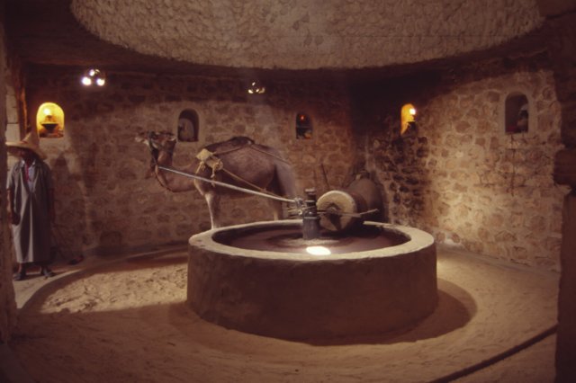 tunisia0344.jpg