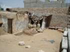 tunisia0355_small.jpg