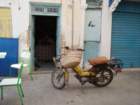 tunisia0364_small.jpg