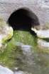 turchia0121_small.jpg