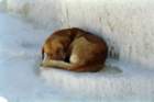 turchia0122_small.jpg