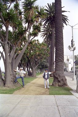 usa0025.jpg