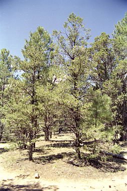usa0029.jpg