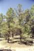 usa0029_small.jpg