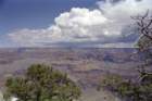 usa0037_small.jpg