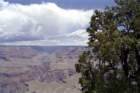 usa0040_small.jpg