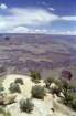 usa0048_small.jpg